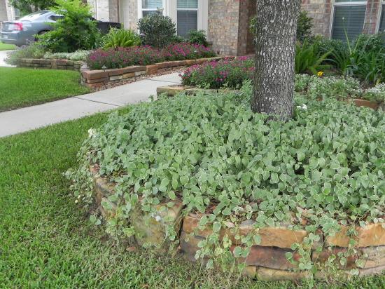 Bayside Landscape Services - Natural Rock Borders & Walls Portfolio ...